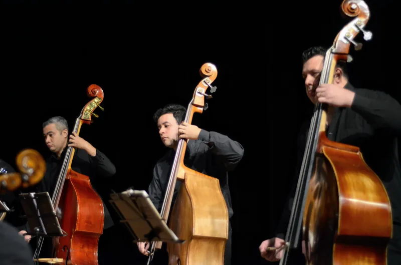 Naipe de cordas em apresentação, com contrabaixos no palco