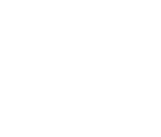 Fernando Goh